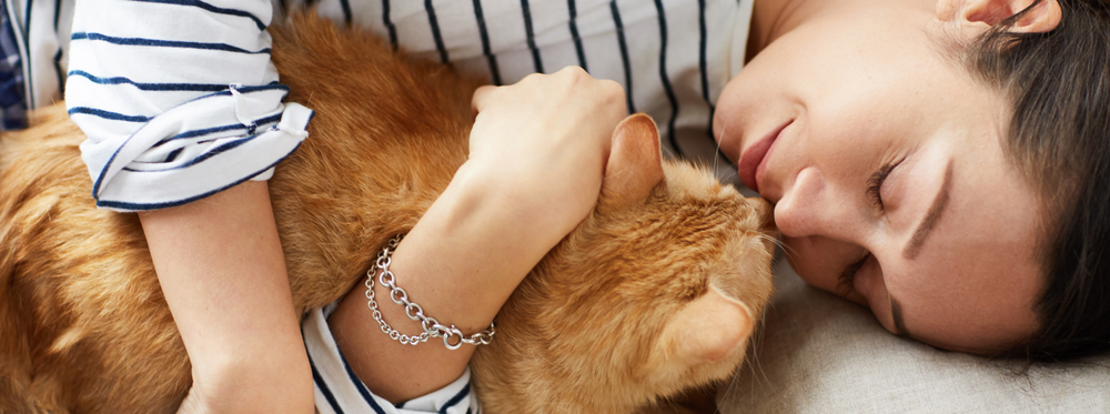 Toxoplasmose chez le chat : symptômes, transmission et prévention
